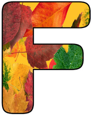 Herbstbuchstabe-5-F.jpg